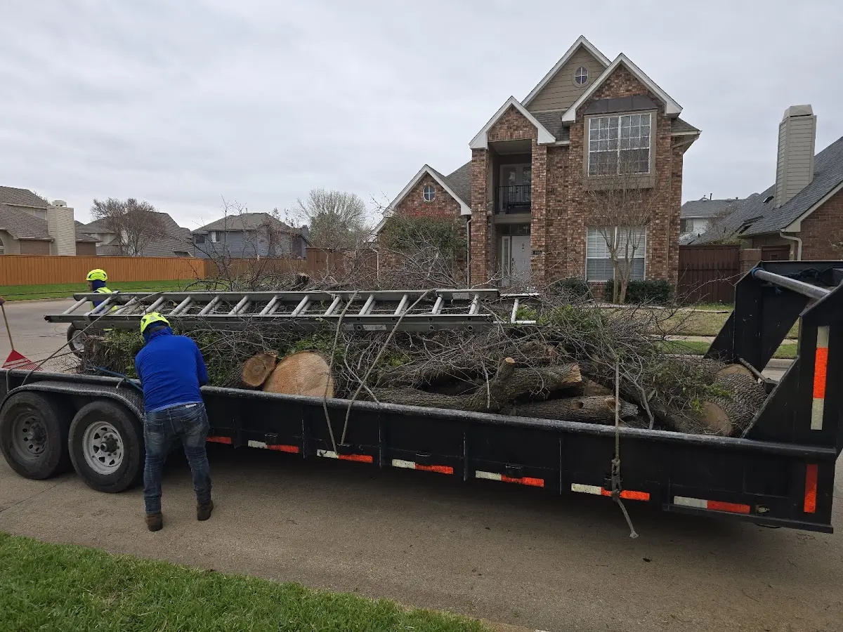 Expert Tree Pest Control with proper safety equipment in Newberry Springs